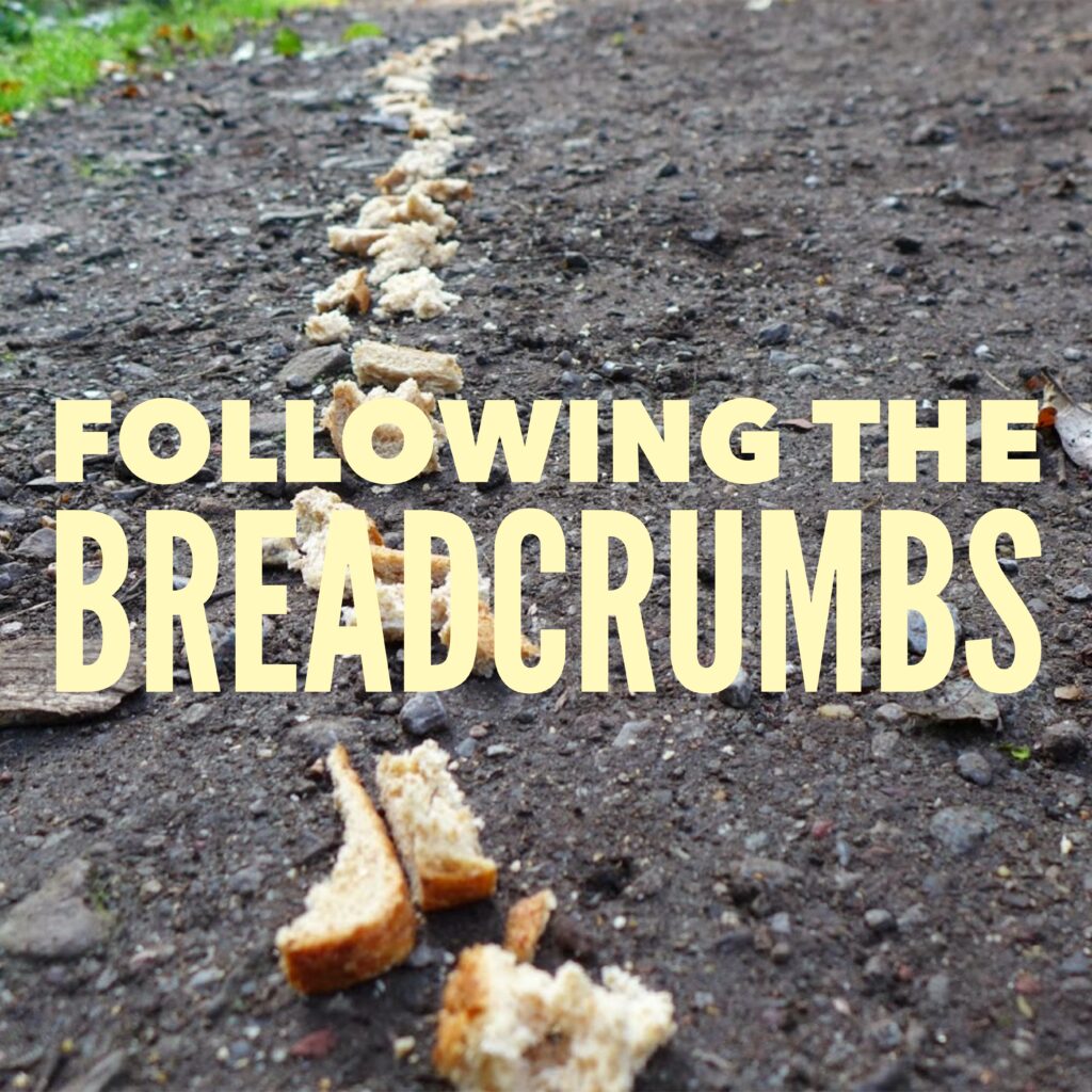 A picture of some bread crumbs on the ground.