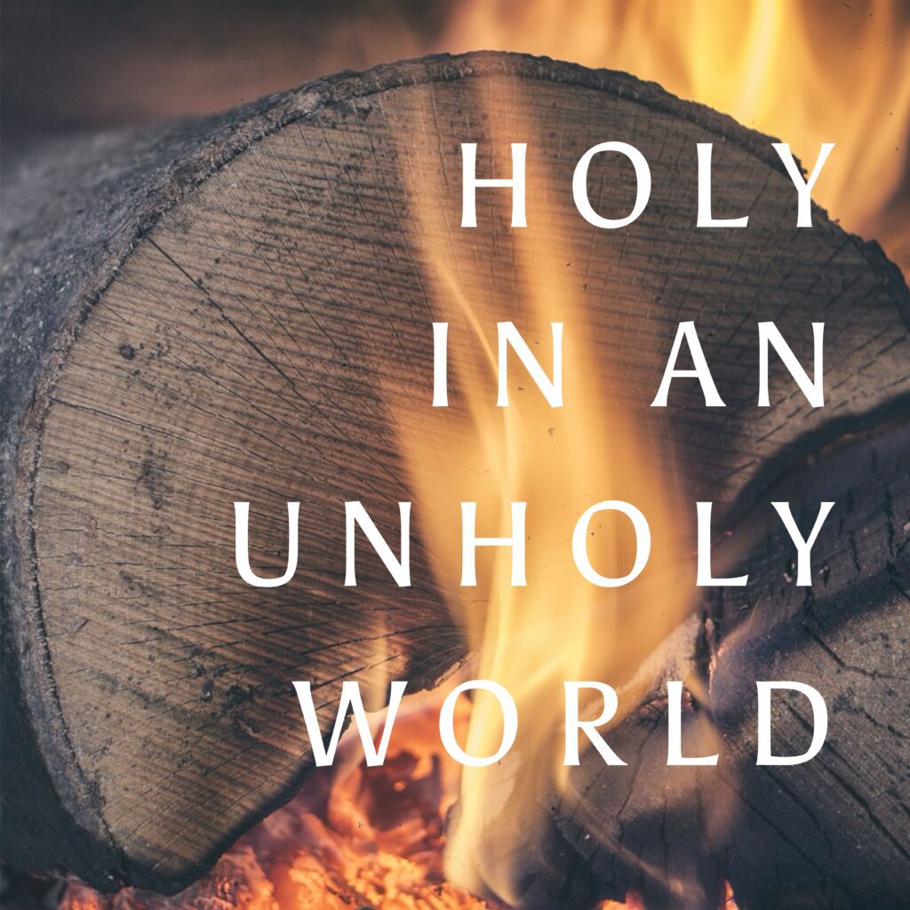 A fire burning in the middle of an open log.