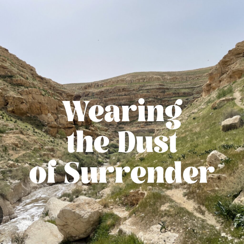 A picture of the desert with text that reads " wearing the dust of surrender ".